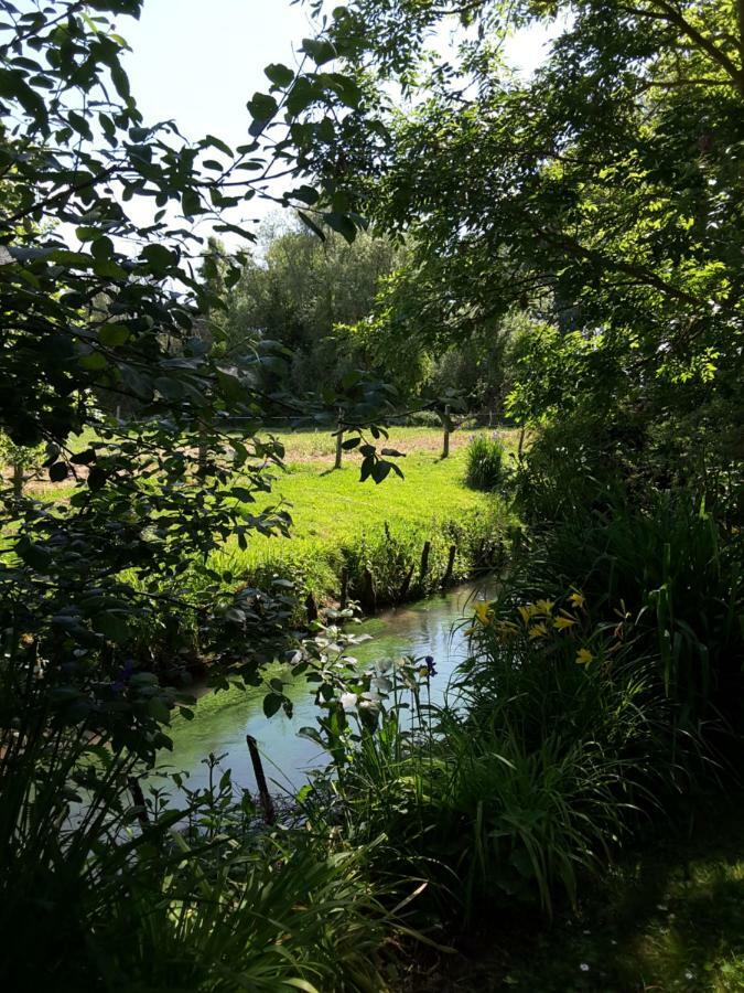 לינה וארוחת בוקר Le Moulin De Tigny מראה חיצוני תמונה